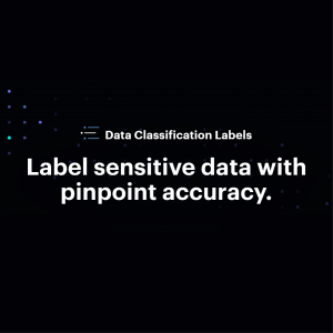 Varonis_Data Classification Labels-01-01