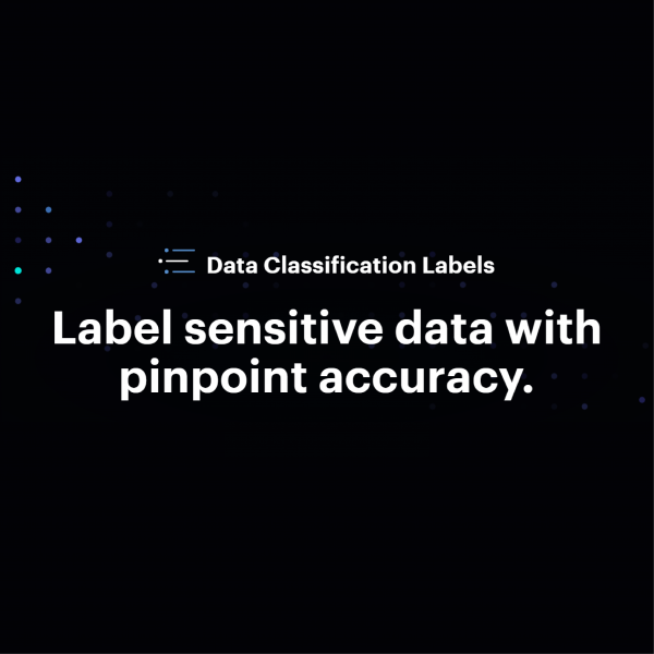 Varonis_Data Classification Labels-01-01