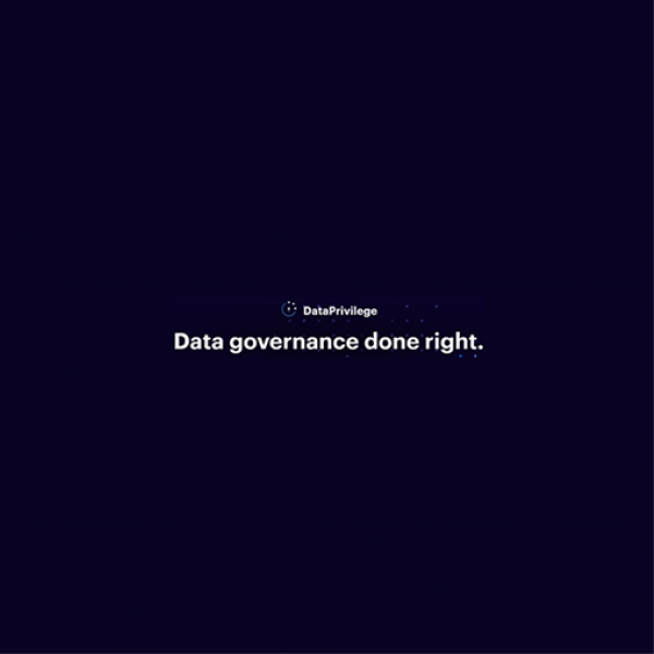 Varonis_Dataprivilege-01