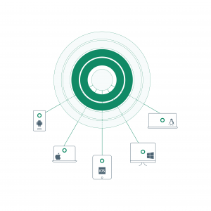 Cato Client and Clientless Access