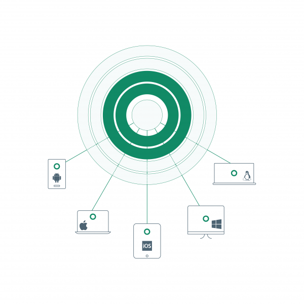 Cato Client and Clientless Access